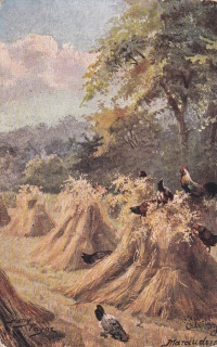 Payne, Harry - Marauders