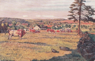 Lolek, Stanislav - Na pastvě