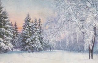 (Zasněžená krajina)