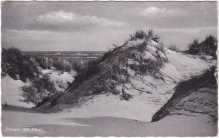 "Písečné duny na pobřeží"