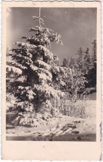 (Zasněžená krajina)