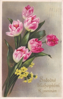 Srdečné blahopřání k jmeninám