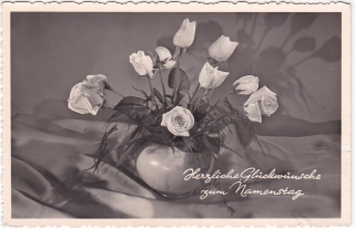 Herzliche Glückwünsche zum Namenstag / Všechno nejlepší ke svátku