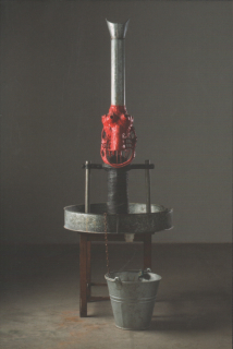 Karel Nepraš: Vlasy