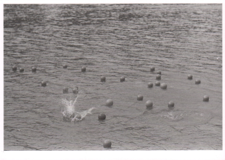 Zorka Ságlová: Házení míčů do průhonického rybníka Bořín, duben 1969