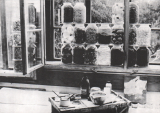 Galerie H - okno ateliéru Z. H., 1988
