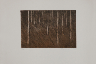 Laufrová, Alena - V lese