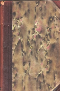 Květy 1904 r. 26 - komplet