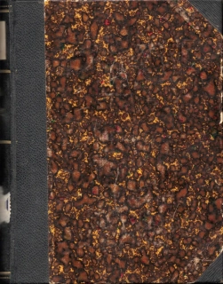Kronika 1902 r. 2 - komplet