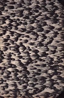 Mezinárodní politika 1964 r. 8 - komplet
