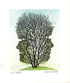 Sivko, Pavel - (Bez názvu)