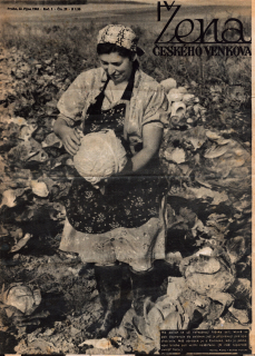 Žena českého venkova
