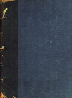 Kunst und Künstler 1913 r. 11 - komplet
