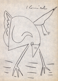 Komárek, Ivan - (Ptáci)