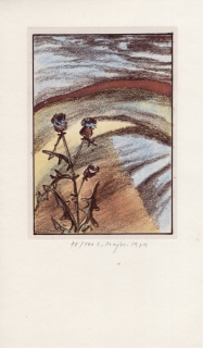 Majer, Ludvík - (Bez názvu)