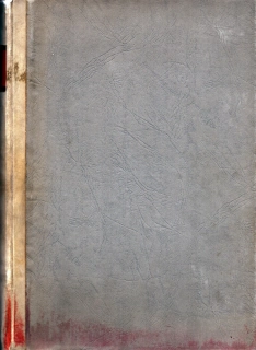 Josef Mánes (převazba)