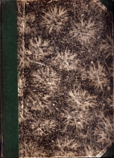 Šlehy + Stráž svobody 1919