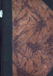 Svobodová, Růžena - V odlehlé dědině