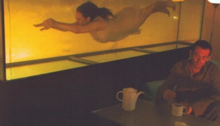 Kateřina Závodová: 1987/2004