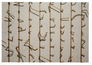 Jiří Matoušek: Circinus-detail