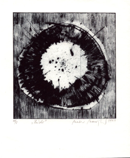 Manojlín, Martin - Hnízdo