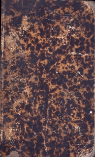 Scheinpflug, Bernard - Das Wichtigste aus der Mythologie der Griechen und Römer