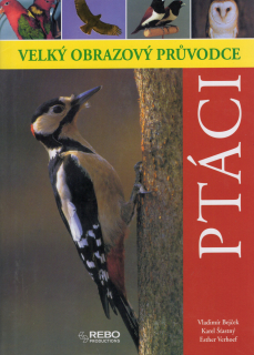 Ptáci