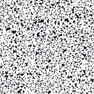 Pavel Hayek: 1990-2003 (podpis)