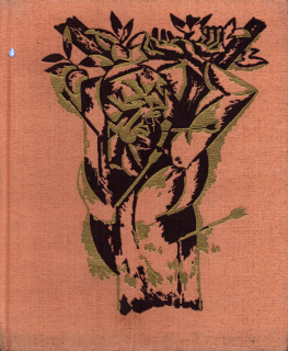 Životní drama Bohumila Kubišty (bez přebalu)