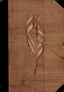 Cechner, Antonín - Topographie der historischen und kunst-denkmale der politische bezirk Kaplitz