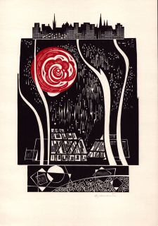 Janoušek, Dušan - (Město)