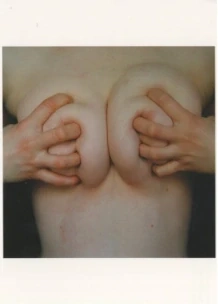 Dorota Sadovská: Korporalist, 2003