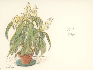 Fiala, Václav - P. F. 1977