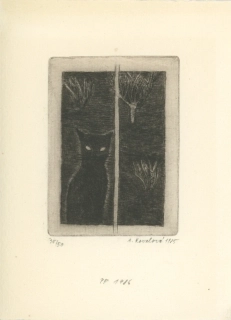 Kovalová Jílková, Anežka - PF 1986