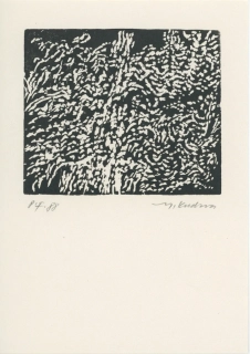 Kudrna, Miroslav - P. F. 88