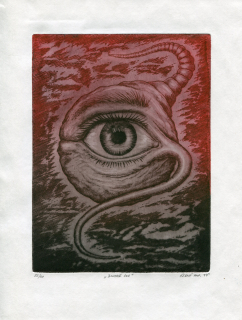 Černý, Antonín - Bludné oko